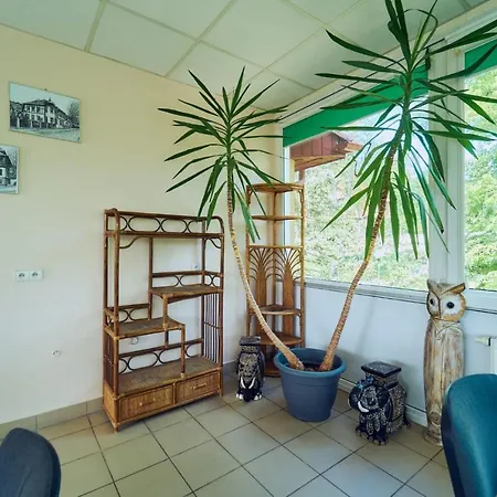 بيت ضيافة Marel-apartments U Sowy- Park- Zdroj